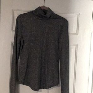 New Silver Turtleneck